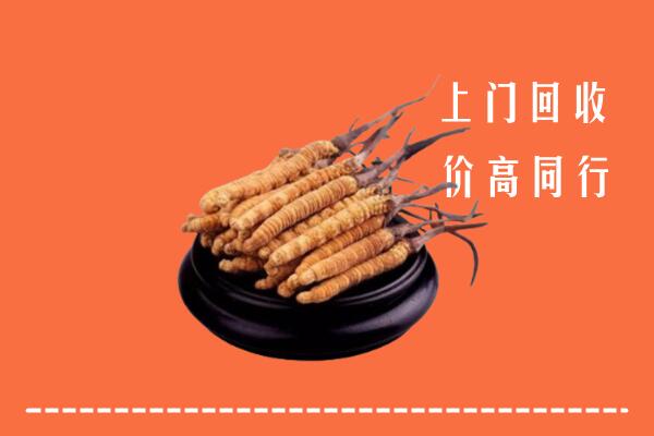 高价求购：青岛市南回收散虫草