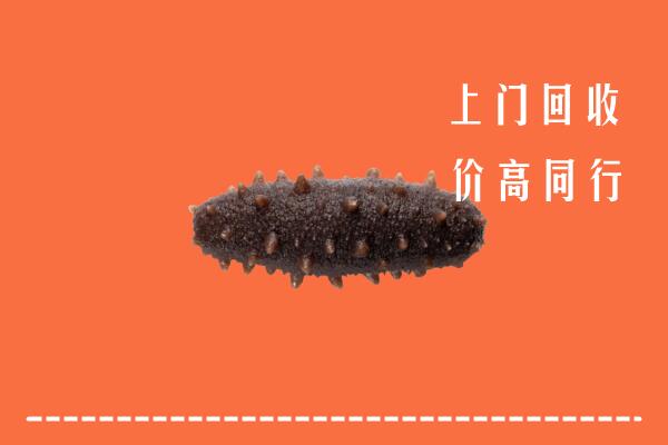高价求购：青岛市南回收海参