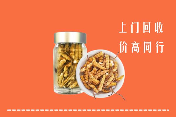 青岛市南回收冬虫夏草