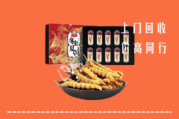 青岛市南回收虫草